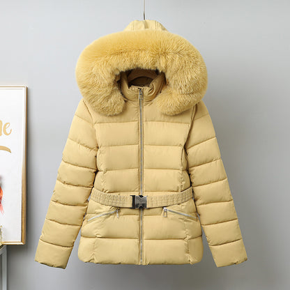 H5694 Women's dressy jacket